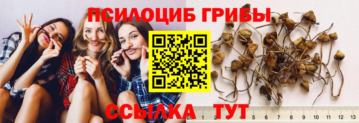 Псилоцибиновые грибы Magic Shrooms  Вход с VPN  Лабытнанги 